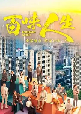 《妻子5》海报占位